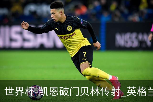 世界杯-凯恩破门贝林传射 英格兰2-0巴拿马小组第一