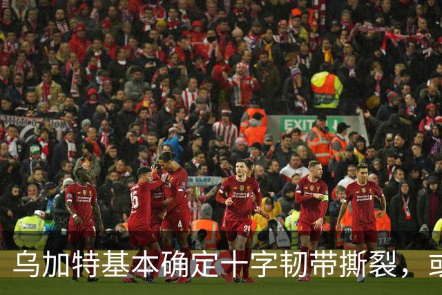 乌加特基本确定十字韧带撕裂，或迫使曼联买人！若伤缺一年可获赔500万