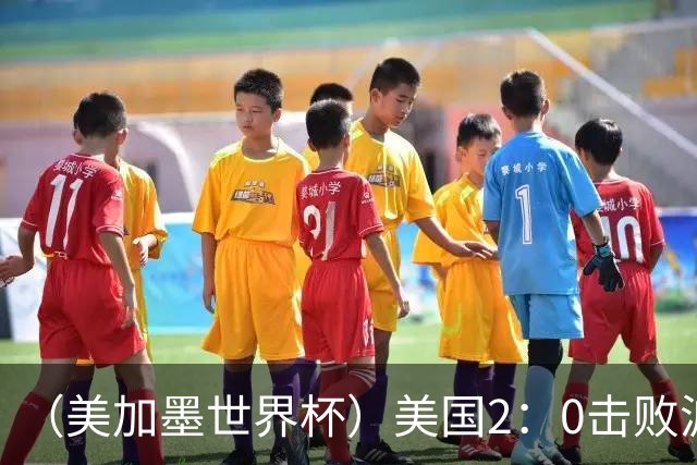 （美加墨世界杯）美国2：0击败波黑 三支东道主球队均晋级16强
